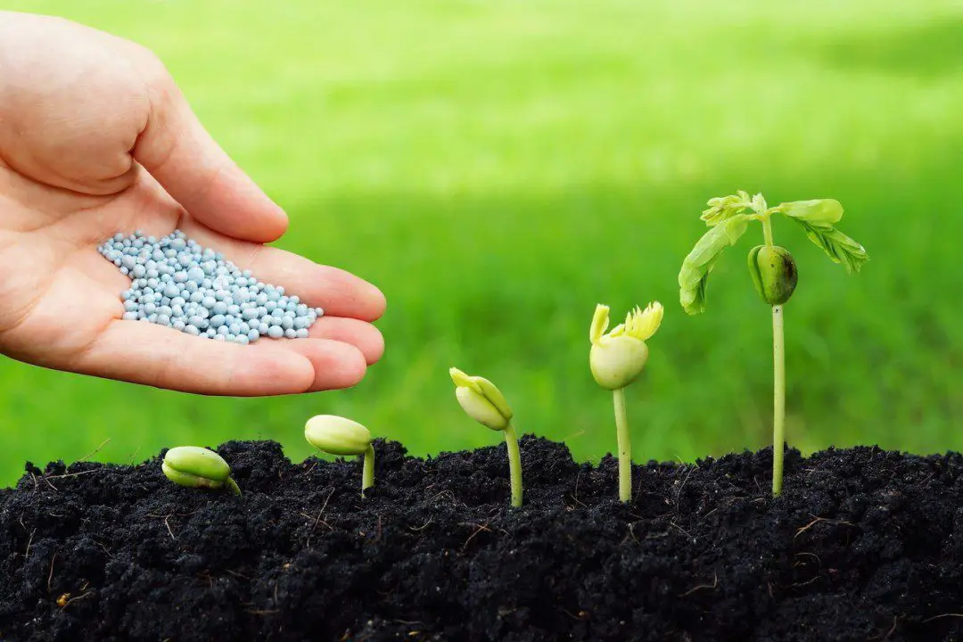 Durable used pumps for fertilizer manufacturing industries ensuring reliable fluid handling