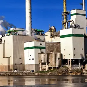 Pulp and Paper pumps pulp and paper manufacturing coimbatore india